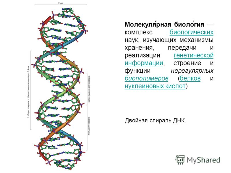 Методы молекулярной биологии презентация