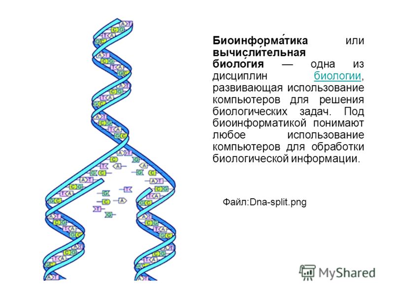 Биоинформатика картинки для презентации