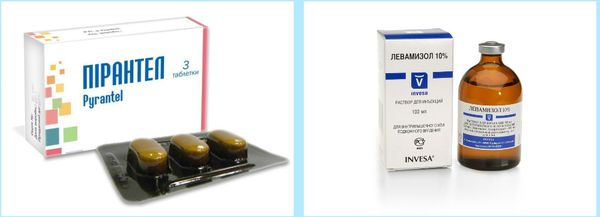 Таблетки от парализации конечностей. Антихолинэстеразные препараты список. Парализованные таблетки. При гельминтозах применяют препараты. Таблетки от глистов для детей декарис.