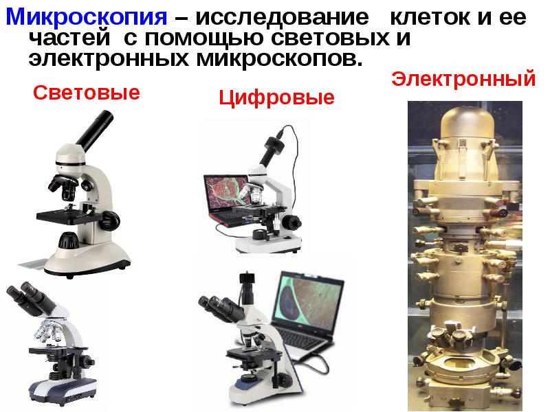 Какие виды микроскопов