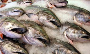 كيفية طهي ذبيحة سمك السلمون